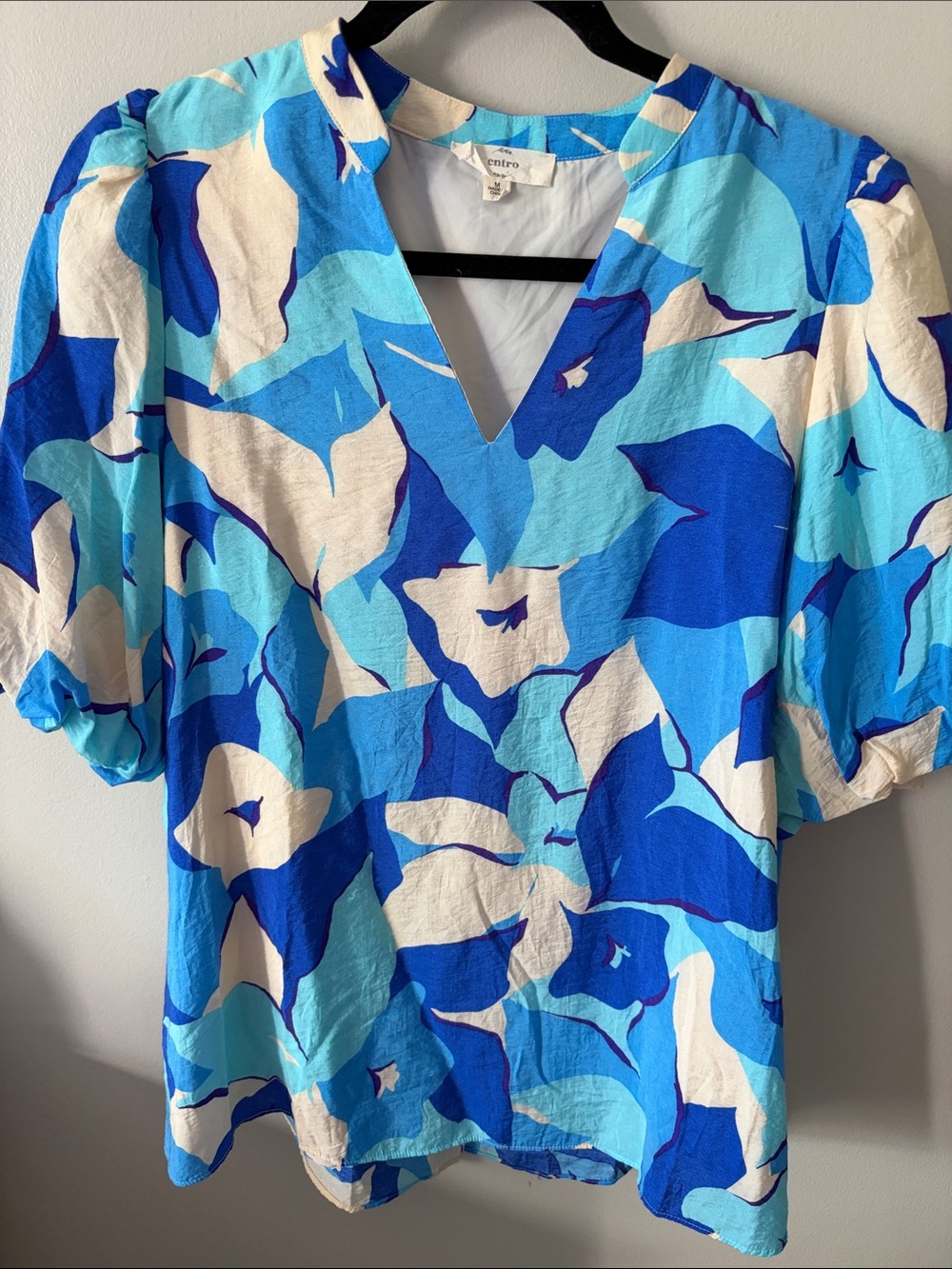 Etro Blue & Cream Abstract Floral V-Neck Blouse